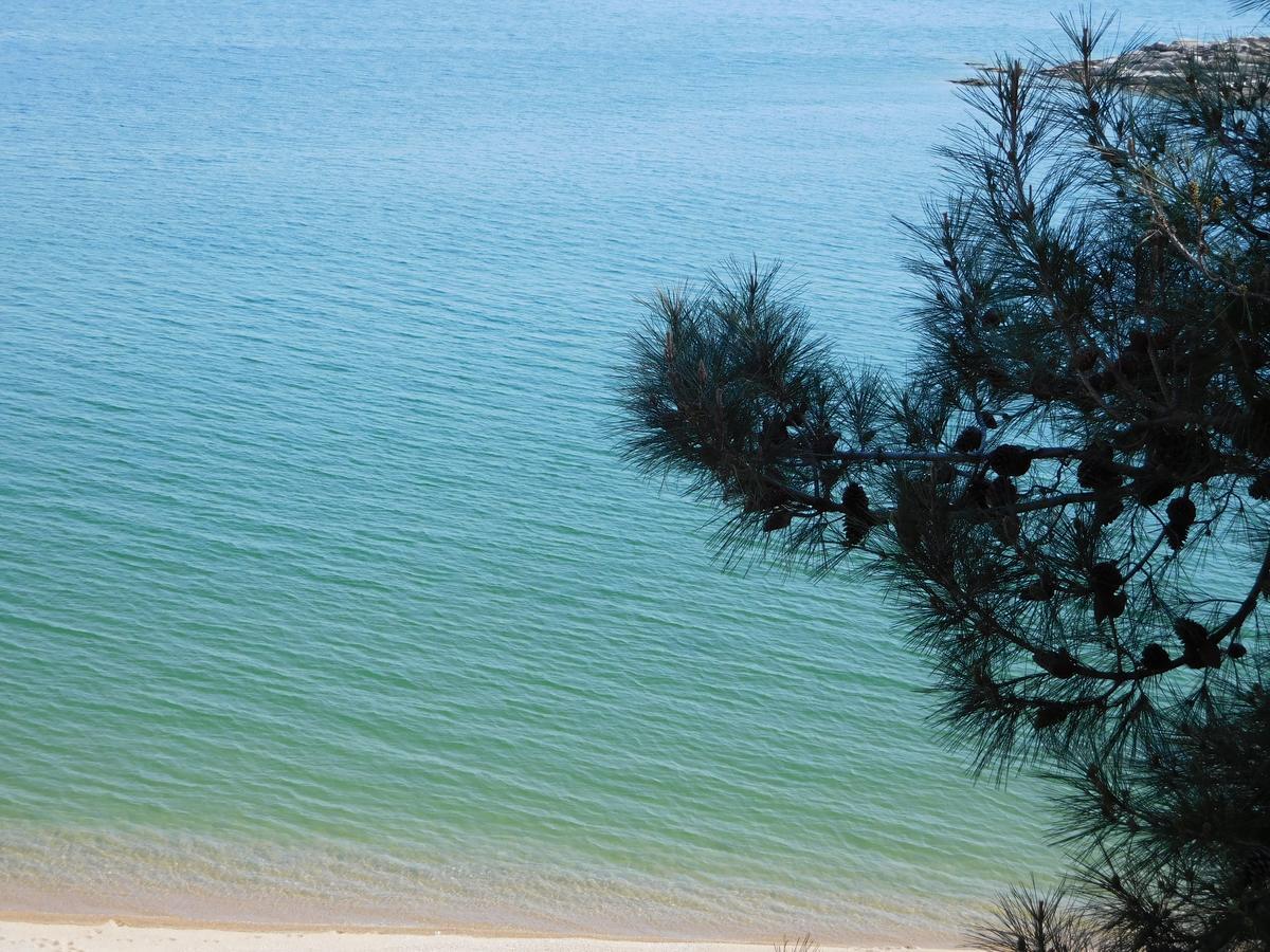 Everlasting Sea ปาเลออน ซิฟลิคิออน ภายนอก รูปภาพ